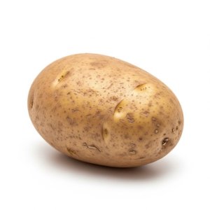 Pomme de terre blanche البطاطس البيضاء