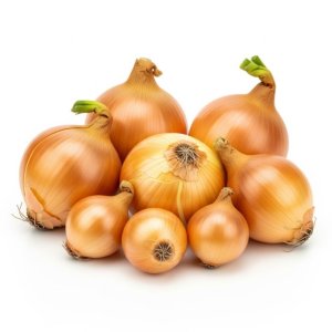 Oignon blanc البصل الابيض