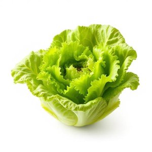 Laitue ( السلطة ( الخس